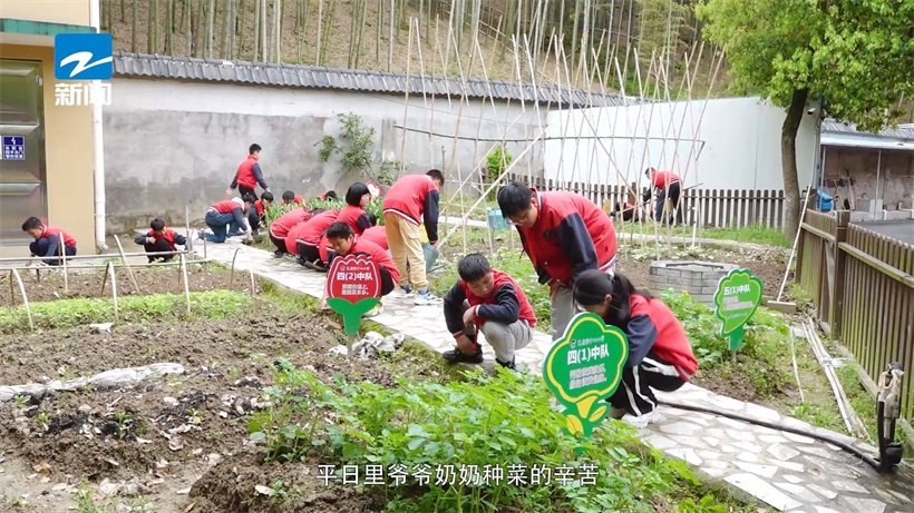 绍兴市夏履镇中心小学围绕“生态教育”核心理念，引领学校高质量发展(图6)