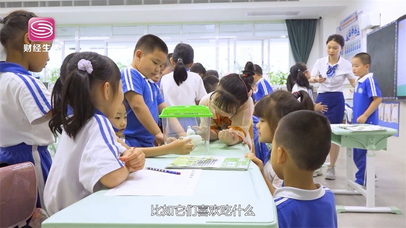 教育先行赢未来，走进深圳市盐田区教科院附属永安小学(图11)