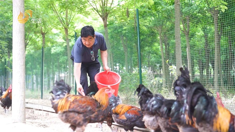 为推动生态养殖，鲁信食品打造“生态鸡富硒养殖加工产业链项目”(图2)
