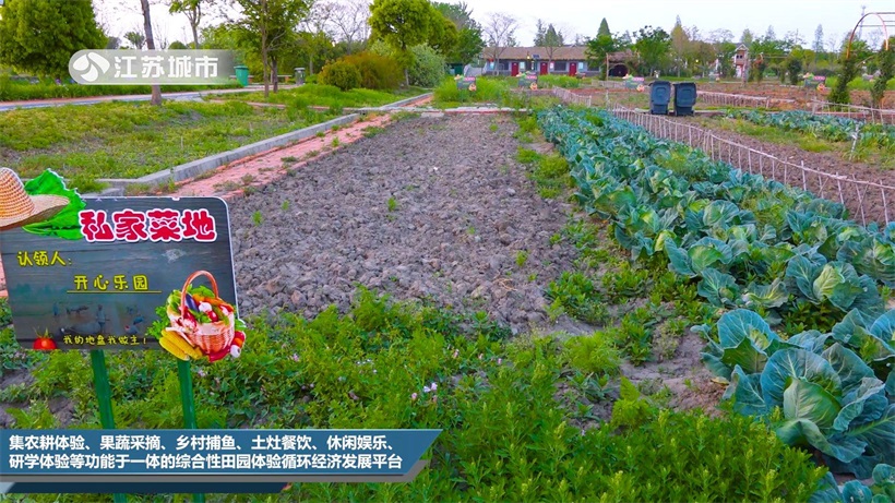 溱湖旅游景区打造“一梦到溱湖”水上夜游演艺项目，促进姜堰市旅游经济高质量发展(图8)