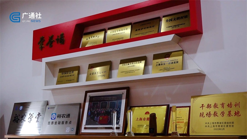 青浦区朱家角镇张马村努力打造富有江南特色的乡村振兴示范村(图8)