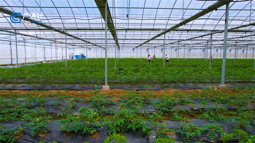 青浦区朱家角镇张马村努力打造富有江南特色的乡村振兴示范村(图9)