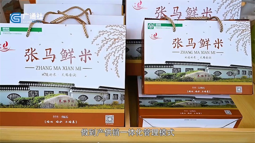 青浦区朱家角镇张马村努力打造富有江南特色的乡村振兴示范村(图12)