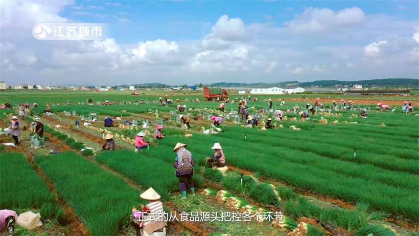 南京慧思果深耕食品原材料配送行业，为保障市民“菜篮子”贡献力量(图7)