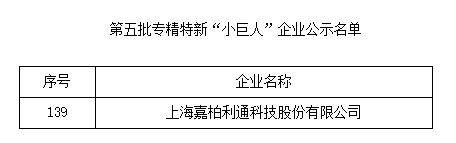 嘉柏利通荣获国家级专精特新“小巨人”企业称号(图2)