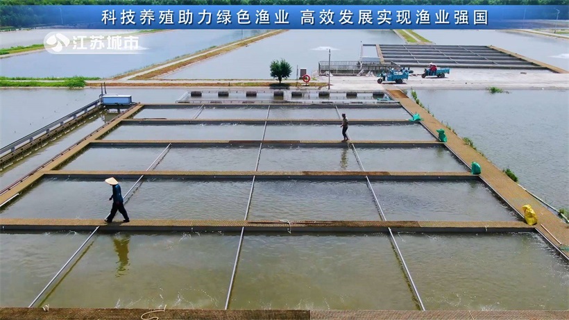 科技养殖助力绿色渔业，高效发展实现渔业强国——江苏省淡水水产研究所(图2)