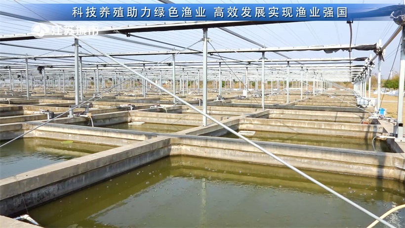科技养殖助力绿色渔业，高效发展实现渔业强国——江苏省淡水水产研究所(图9)