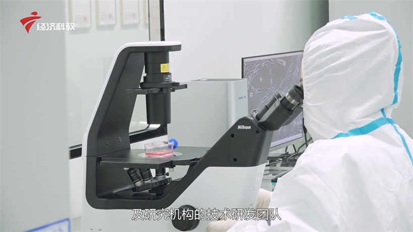 生物科技创造健康未来——朗姿赛尔生物科技（广州）有限公司(图2)