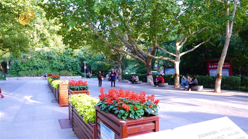 聊城市城市园林管理服务中心不断提升精细化管理水平，全力打造城市“靓丽风景线”(图12)