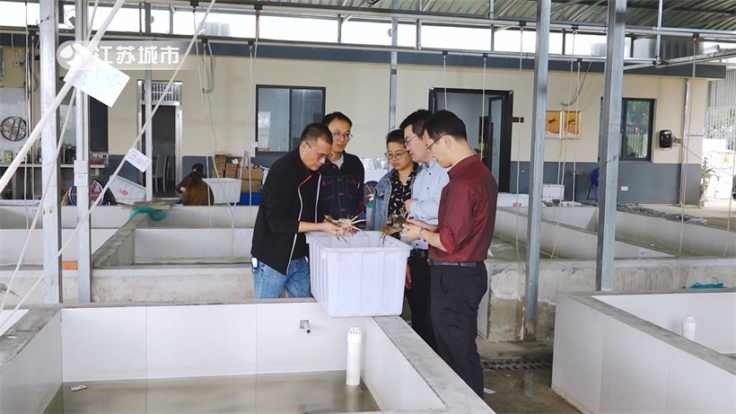 江苏省淡水水产研究所以推广河蟹绿色健康养殖技术为核心，推动农业高质量发展(图5)