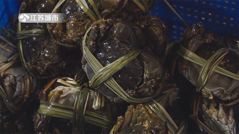 江苏省淡水水产研究所以推广河蟹绿色健康养殖技术为核心，推动农业高质量发展(图7)