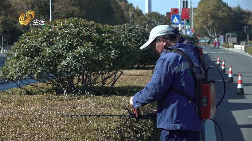  青岛青山绿水城市环境工程有限公司积极探索环卫作业新模式(图4)