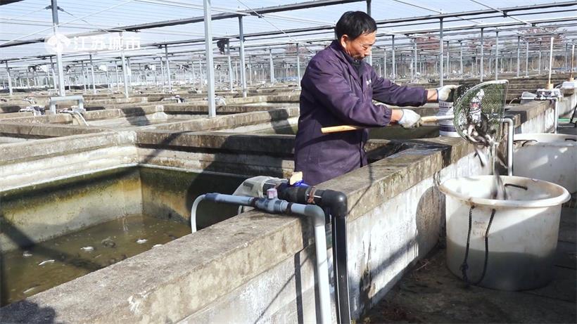 江苏省淡水水产研究所研发首个鮰鱼新品种，引领水产养殖业发展(图6)