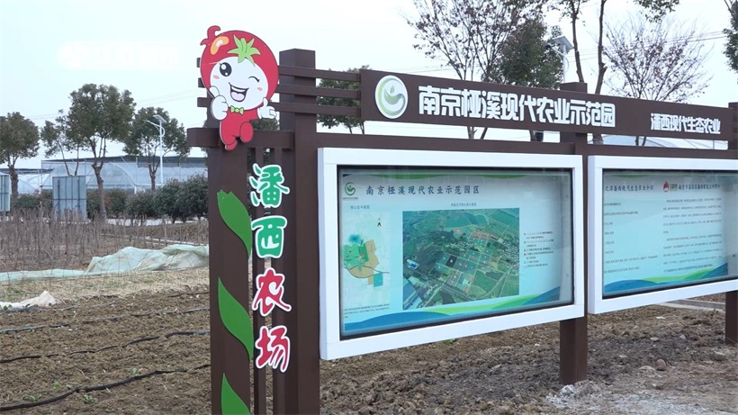 潘西家庭农场积极发展绿色循环生态农业，助力乡村振兴(图3)