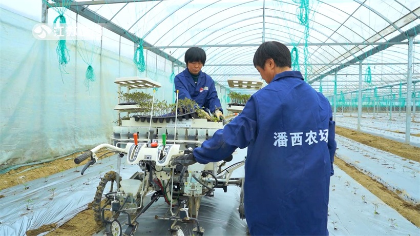 潘西家庭农场积极发展绿色循环生态农业，助力乡村振兴(图4)