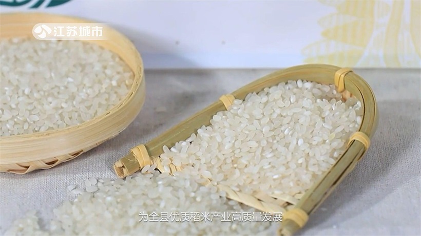涟水大米创新优质稻米产品，不断助力乡村振兴发展(图7)