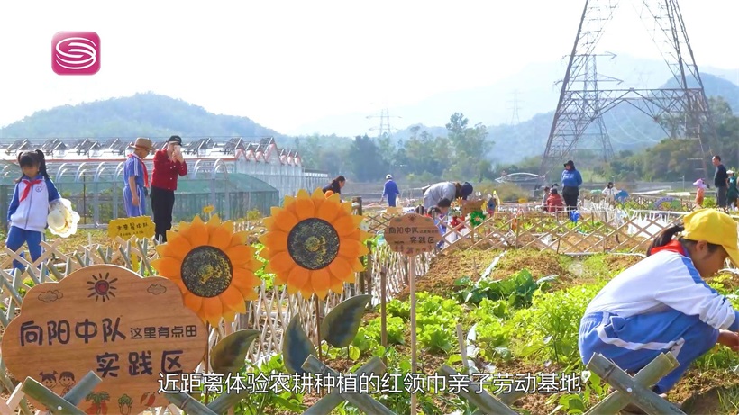 教育先行赢未来，助力广东高质量发展——深圳市大鹏新区大鹏中心小学(图4)