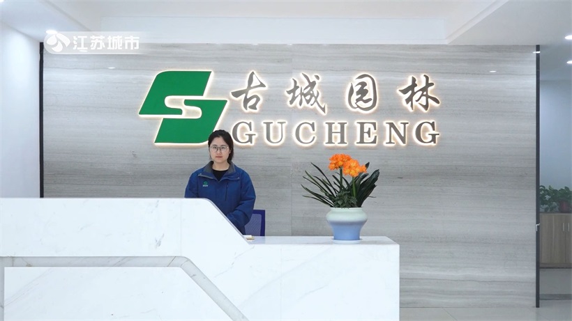 古城园林的“中海江湾境”项目融合艺术与自然，缔造城市绿化新标杆(图2)