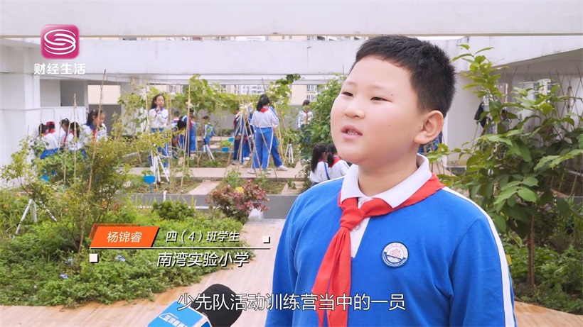 南湾实验小学推出橙光特色育人体系，为学生身心健康保驾护航(图9)