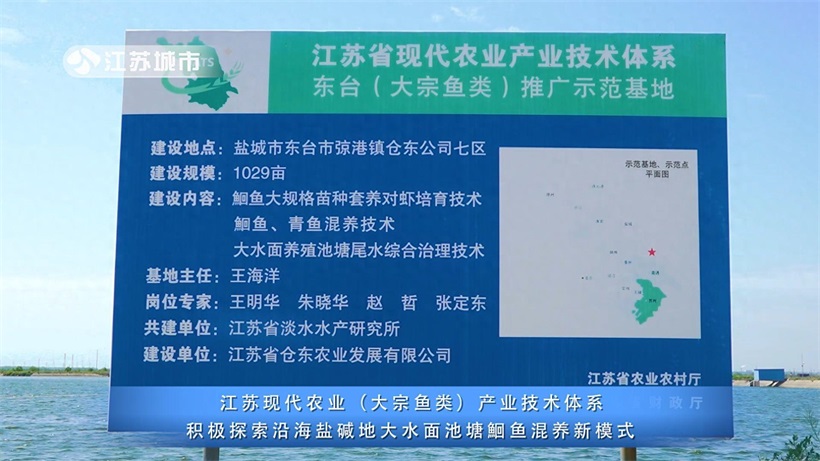 江苏省淡水水产研究所积极探索沿海盐碱地大水面池塘鮰鱼混养新模式