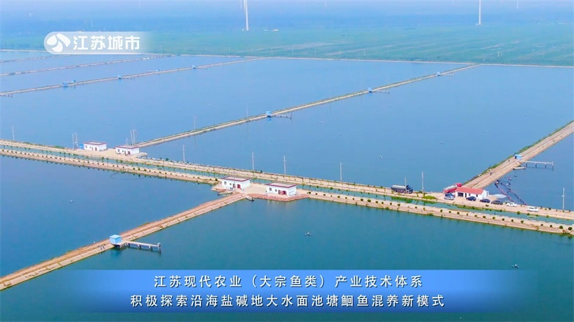 江苏省淡水水产研究所积极探索沿海盐碱地大水面池塘鮰鱼混养新模式(图2)