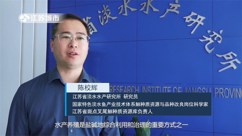 江苏省淡水水产研究所积极探索沿海盐碱地大水面池塘鮰鱼混养新模式(图3)