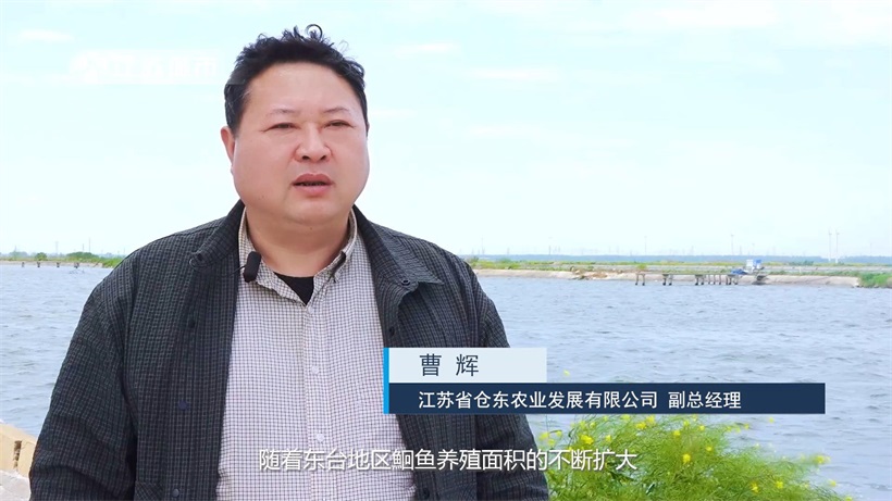 江苏省淡水水产研究所积极探索沿海盐碱地大水面池塘鮰鱼混养新模式(图5)