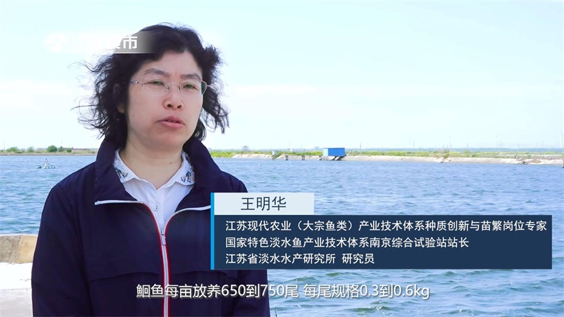 江苏省淡水水产研究所积极探索沿海盐碱地大水面池塘鮰鱼混养新模式(图6)