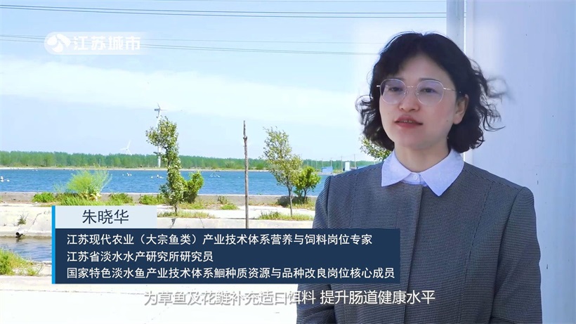 江苏省淡水水产研究所积极探索沿海盐碱地大水面池塘鮰鱼混养新模式(图7)