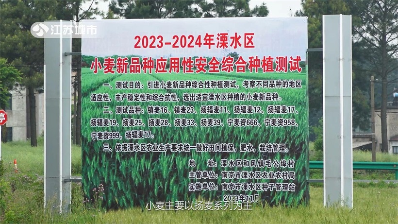 明头农机专业合作社打造高效农业新典范，助力乡村振兴发展(图5)