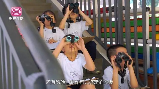 深圳市第九幼儿园探索自然教育新路径，为幼儿全面发展贡献力量(图6)