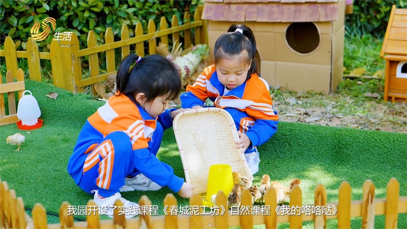 金乡县春城幼儿园以游戏点亮童年，助力幼儿全面发展(图5)