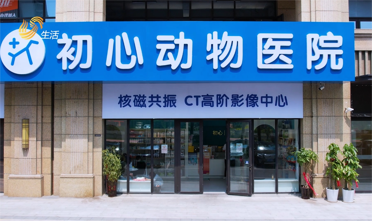 青岛初心动物医院获评“2024年度宠物诊疗服务示范医院”(图3)