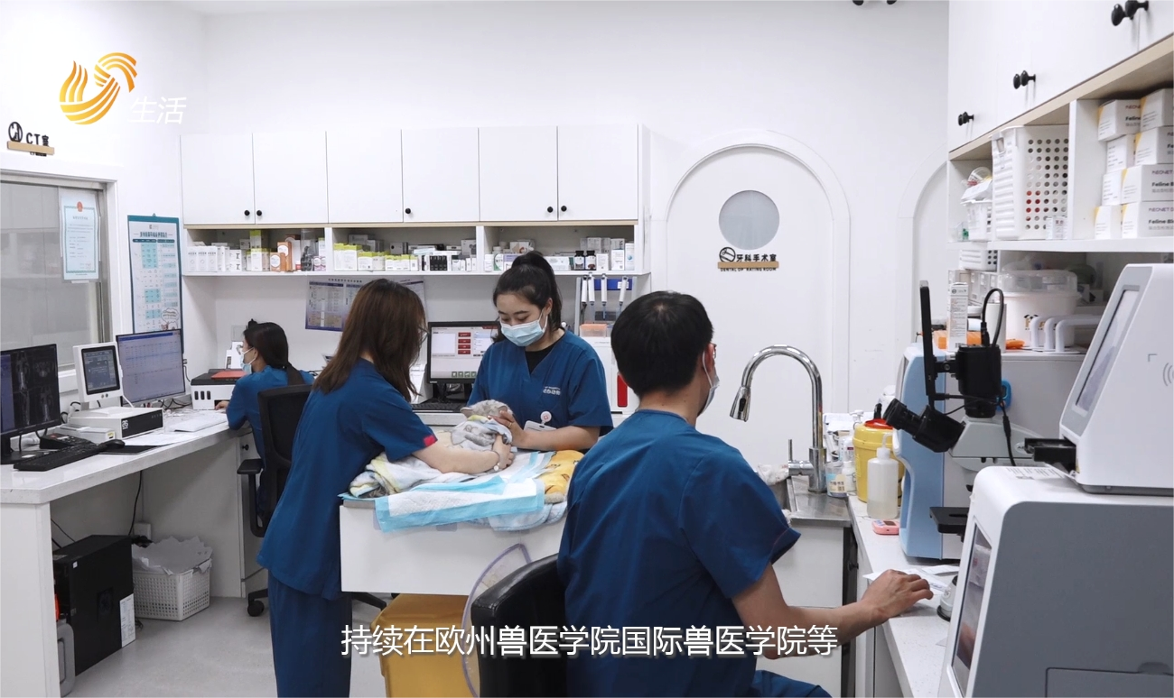 青岛初心动物医院获评“2024年度宠物诊疗服务示范医院”(图6)
