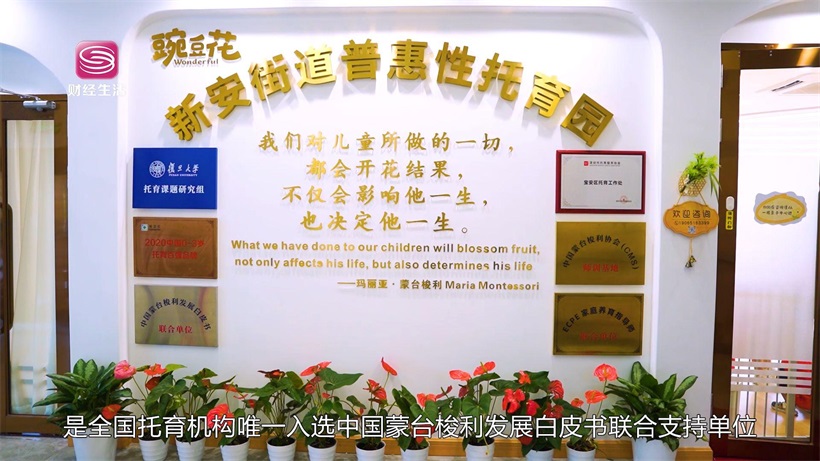 聚焦优质教育品牌，走进宝安区新安街道普惠性托育园(图3)