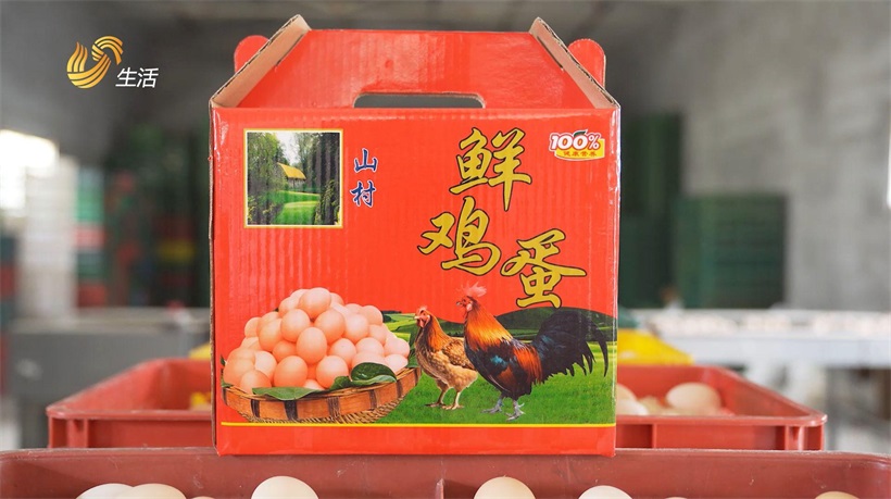 绿色畜牧新典范：济南富桥牧业助力济南畜牧业可持续发展(图3)