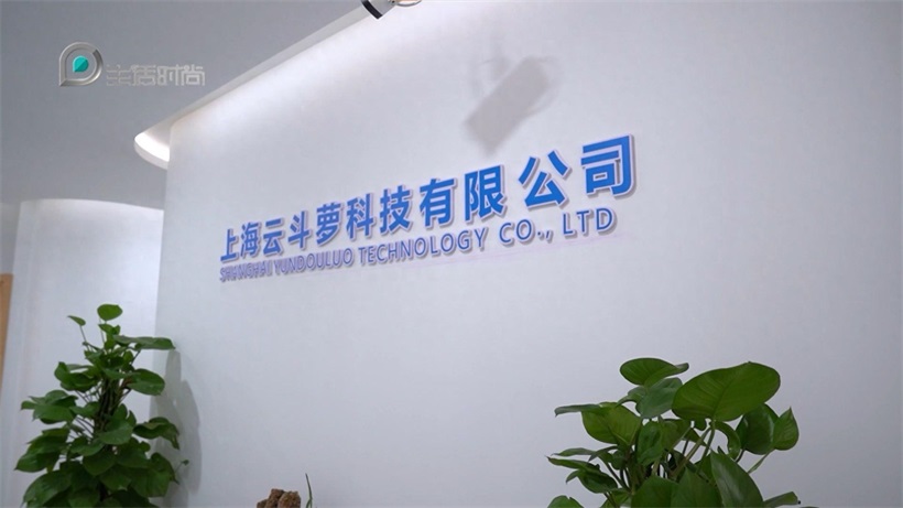 云斗萝科技：AI心理健康预诊系统，精准护航大众心理健康新未来！