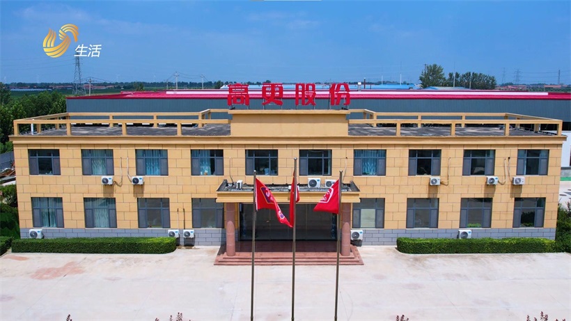 高更食品科技改扩建项目获济南市重点扶持，助力调味品产业升级(图6)