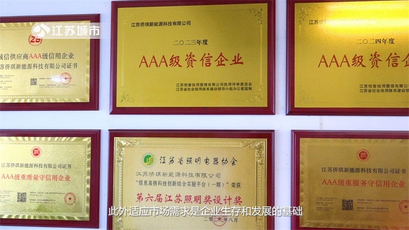 “江苏侨琪新能源科技再获殊荣：昆山体育中心亮化项目斩获低碳工程奖”(图6)