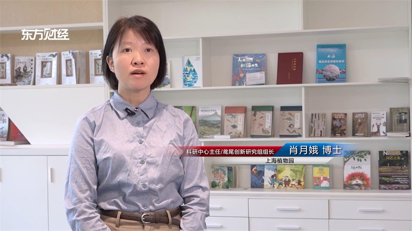 上海植物园：科研保育齐头并进，打造都市绿色名片(图2)