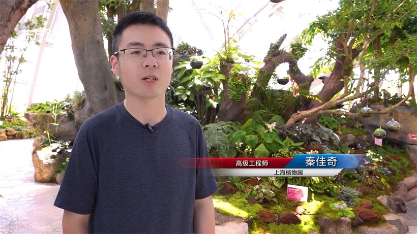 上海植物园：科研保育齐头并进，打造都市绿色名片(图3)