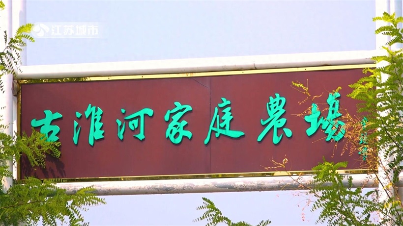 古淮河农场秋月梨，绿色科技赋能品牌升级