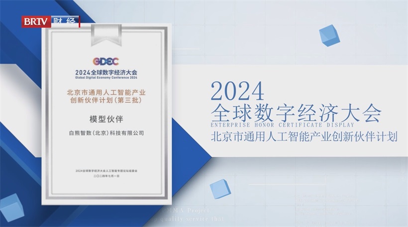 白熊智数以创新大模型应用，引领企业智能化转型之路(图10)