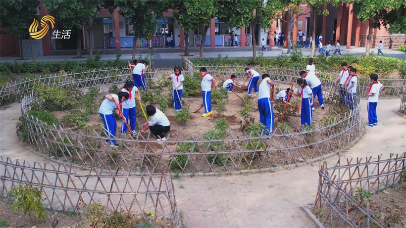 “牡丹少年”显风采，菏泽市第一实验小学劳动教育获殊荣(图3)