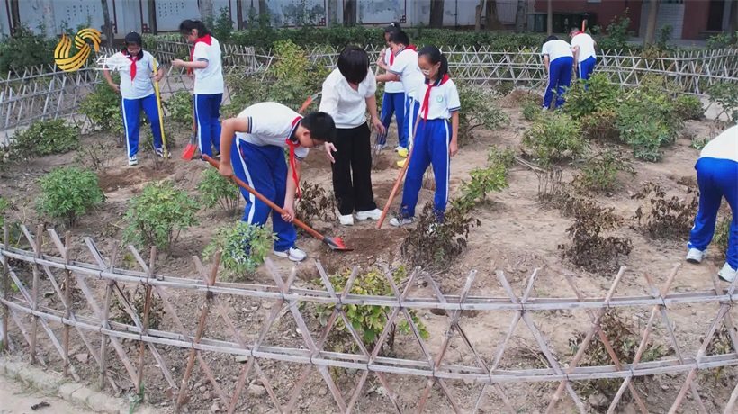 “牡丹少年”显风采，菏泽市第一实验小学劳动教育获殊荣(图6)