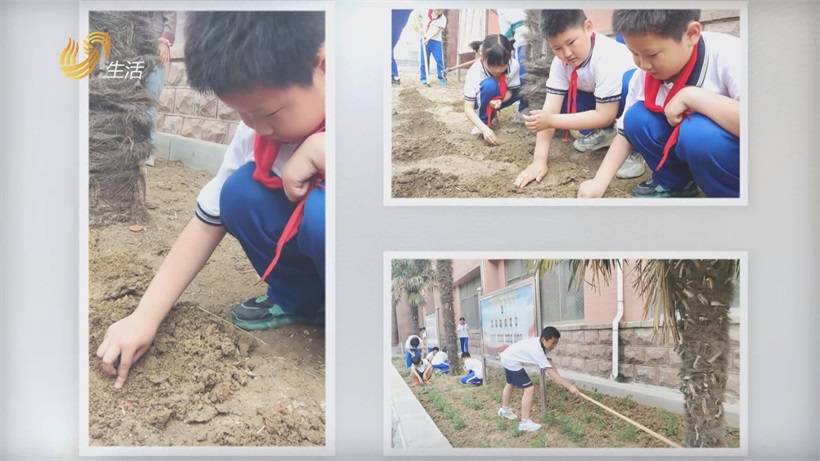 “牡丹少年”显风采，菏泽市第一实验小学劳动教育获殊荣(图8)
