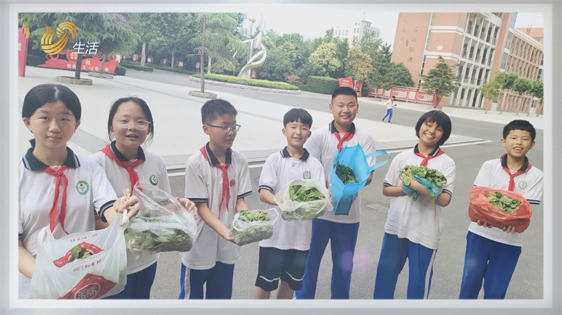 “牡丹少年”显风采，菏泽市第一实验小学劳动教育获殊荣(图9)