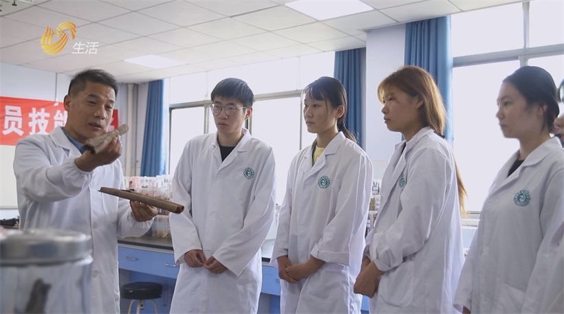 山东医药技师学院领航医药教育，荣获全国先进集体殊荣(图3)