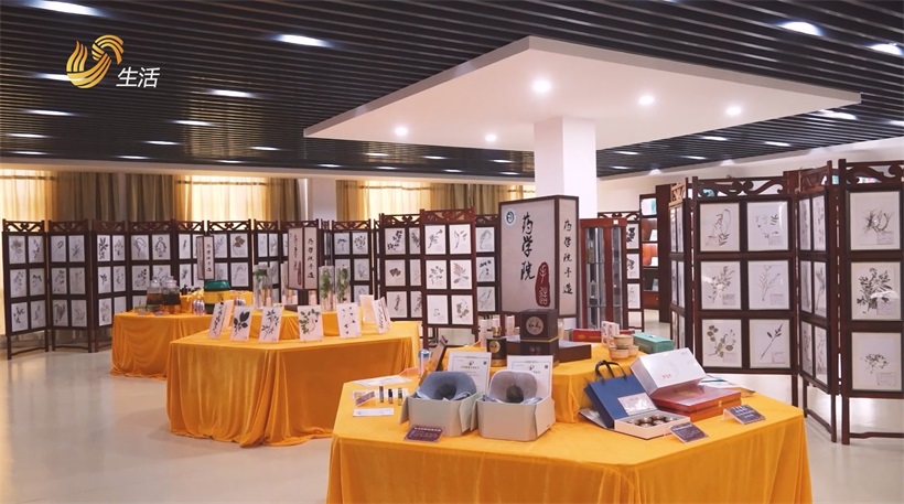 山东医药技师学院领航医药教育，荣获全国先进集体殊荣(图6)