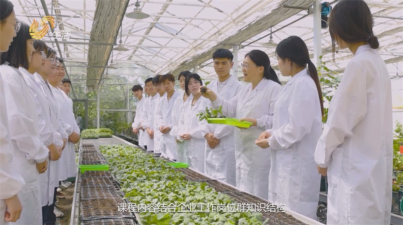 济宁市高级职业学校深耕职业教育，构建技能人才新高地(图5)